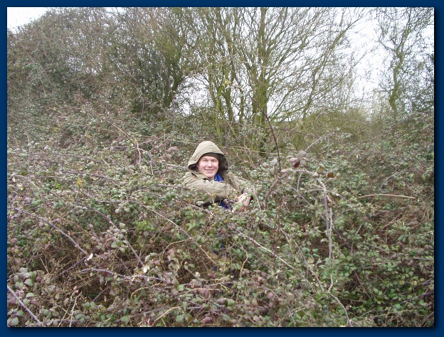 600x449 pixels (214K)